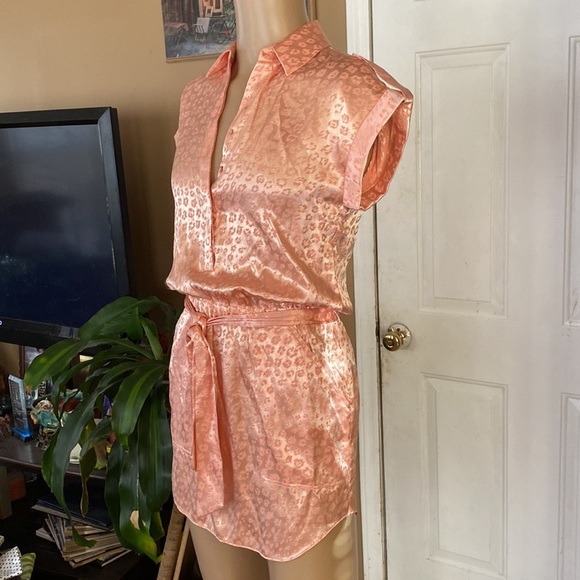 Joie daran sunset blush dress. G - Picture 5 of 10